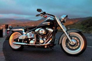 哈雷吃瓜群众,揭秘网络热议背后的真相与笑料