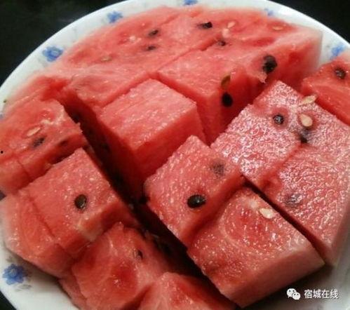 吃瓜群众干饭图片高清,趣味横生展现生活百态