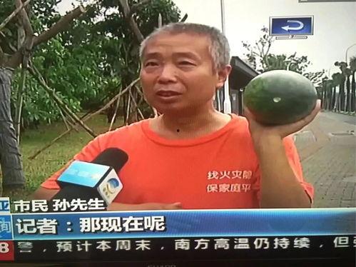 宜兴吃瓜群众事件,网络热议背后的真相与反思