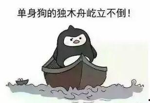 萌萌吃瓜群众,揭秘娱乐圈幕后故事