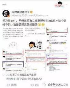 傻瓜吃瓜群众,揭秘网络舆论场的众生相