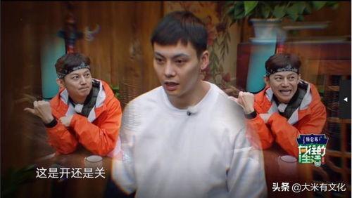 傻瓜吃瓜群众,揭秘网络舆论场的众生相