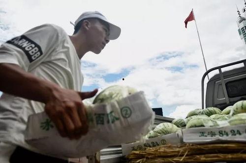 吃瓜群众有一个梦,吃瓜群众梦寻瓜界传奇