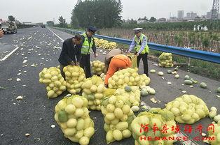 朝阳吃瓜群众入口微博号,微博号背后的故事与影响力”