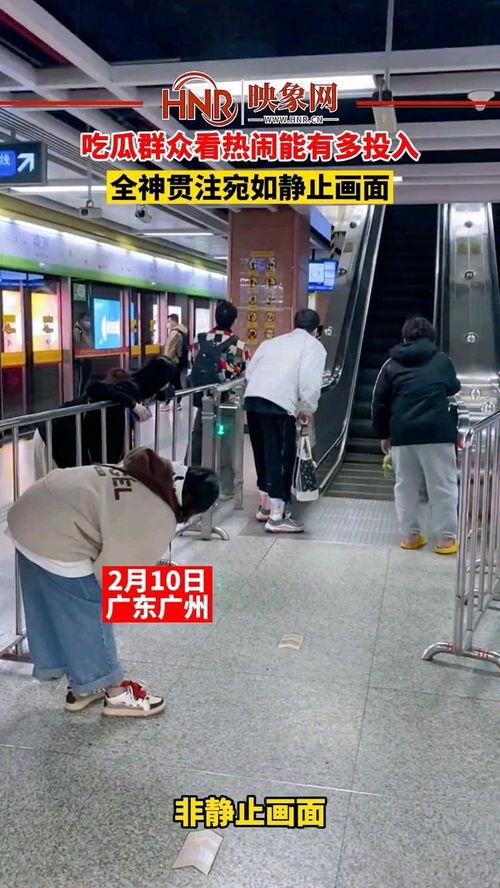 热心吃瓜围观群众,揭秘娱乐圈幕后故事