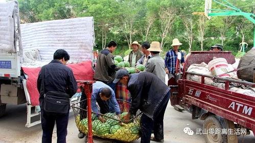 吉安吃瓜群众事件,一场网络舆论的风暴与反思