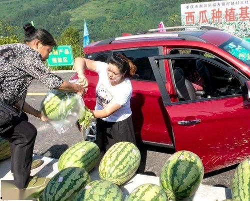 贵州吃瓜的群众,揭秘当地独特的饮食文化