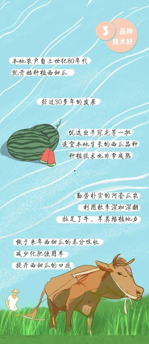 吃瓜群众冥想语,揭秘内心宁静的瓜田秘境