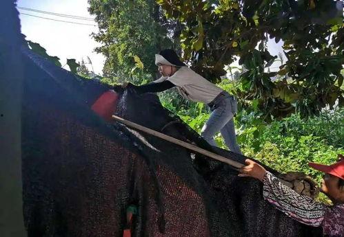 吃瓜群众002大结局是啥,揭秘大结局背后的惊人真相