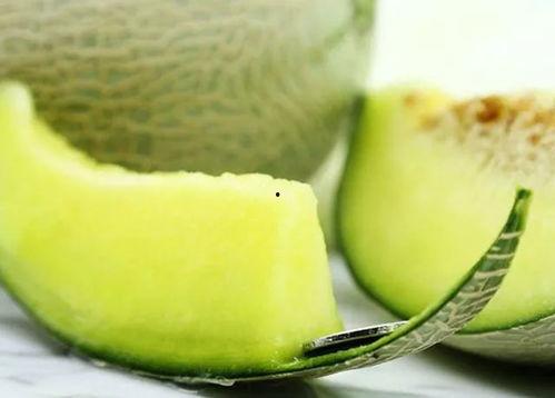 吃瓜群众网纹瓜,揭秘吃瓜群众的夏日消暑新宠