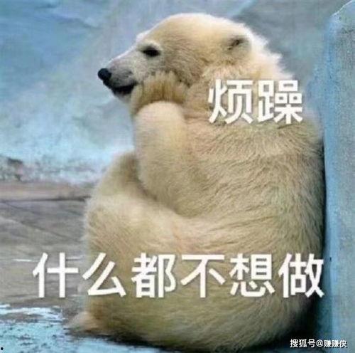 复杂的吃瓜群众图片,一场视觉与心灵的盛宴