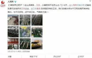 吃瓜群众最牛的直播,揭秘网络红人的崛起之路