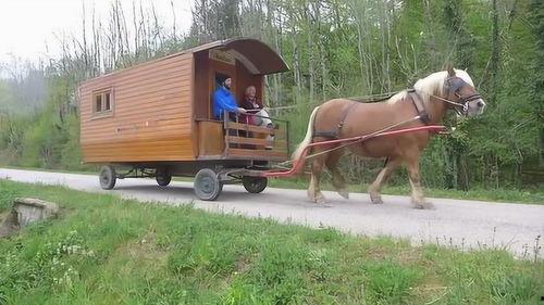 吃瓜群众最牛的直播,揭秘网络红人的崛起之路