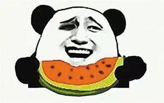 吃瓜群众炸屏视频大全集,笑料百出，年度爆笑集锦