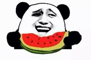 吃瓜群众阿涛,吃瓜群众的视角,揭秘娱乐圈风云