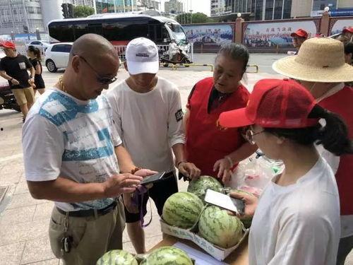 梦鹤吃瓜群众,揭秘娱乐圈幕后风云