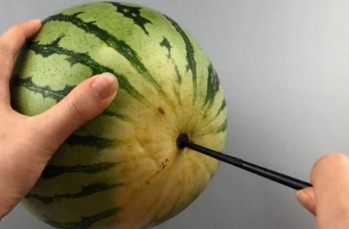 吃瓜群众切西瓜视频大全,吃瓜群众切西瓜视频大全集锦