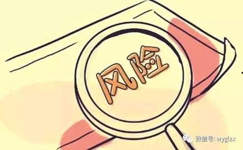 吃瓜群众法律风险分析,吃瓜群众法律风险防范指南