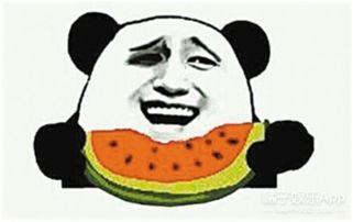 吃瓜群众最后一个瓜,一场娱乐圈的惊心动魄大戏