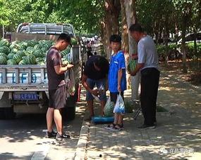 南平地区吃瓜群众事件,网络舆论的风暴与反思