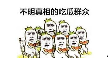 一个自带板凳的吃瓜群众,见证风云变幻的旁观者