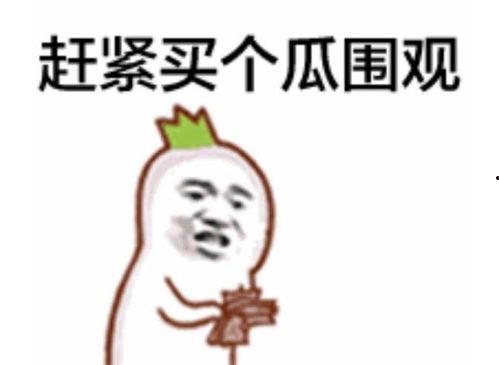 吃瓜群众在七零无防盗,吃瓜群众的欢乐时光与无防盗的岁月