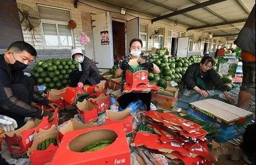 吃瓜群众观看者图片大全,捕捉全民娱乐瞬间