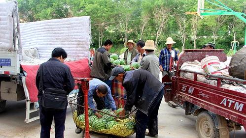 东乡吃瓜群众新闻最新消息,最新新闻事件聚焦