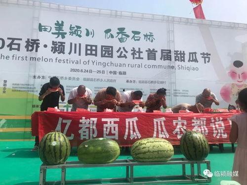 东乡吃瓜群众新闻最新消息,最新新闻事件聚焦