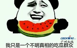 吃瓜群众的梗哪来的啊,吃瓜群众梗的起源与流行解析