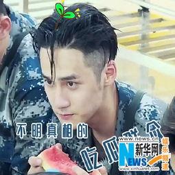 霆锋最帅吃瓜群众是谁,谁是幕后推手？